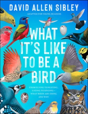 What it's like to be a bird : from flying to nesting, eating to singing-what birds are doing, and why : adapted for young readers 