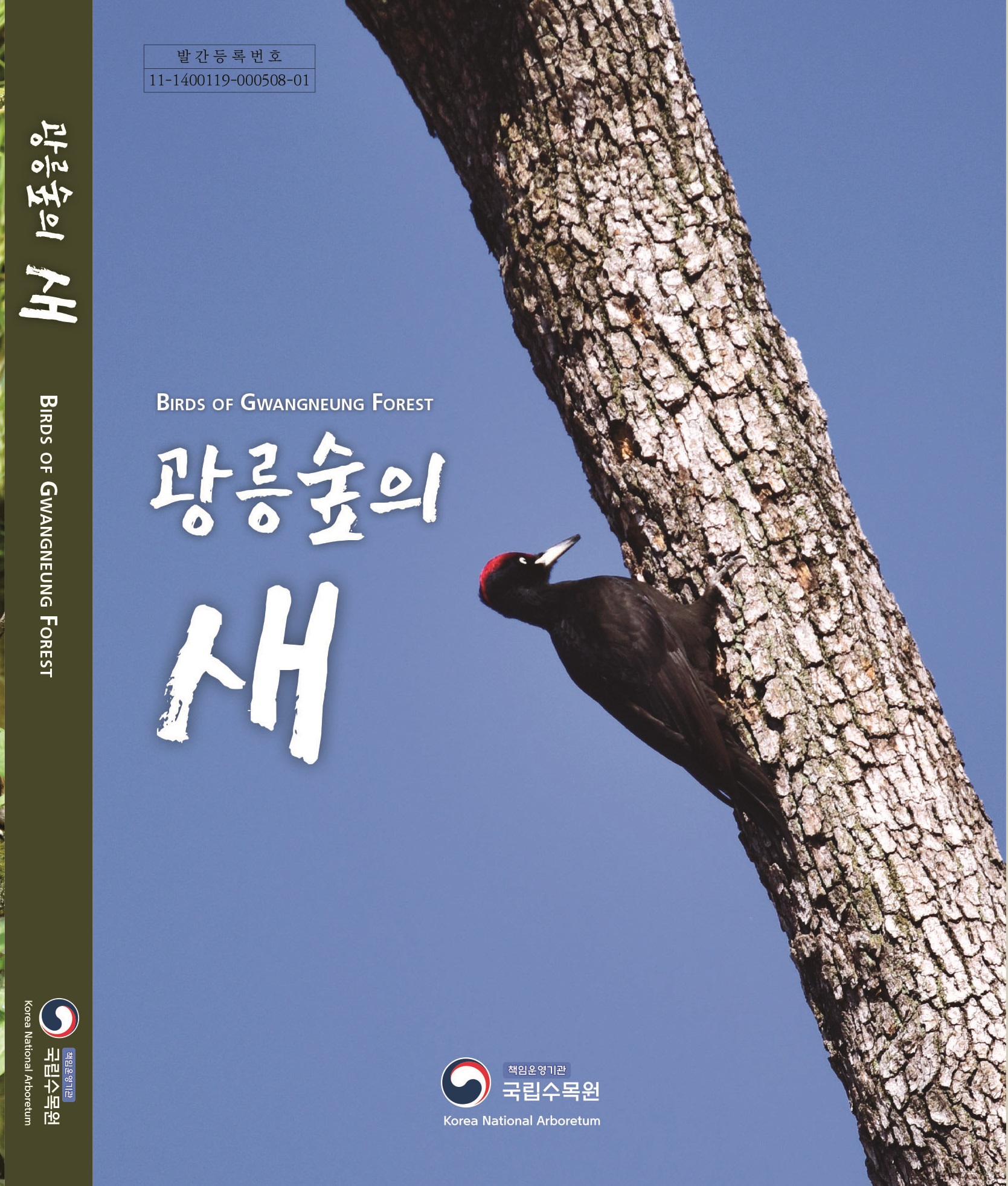 광릉숲의 새 